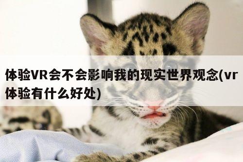 体验VR会不会影响我的现实世界观念(vr体验有什么好处)【jn体育】