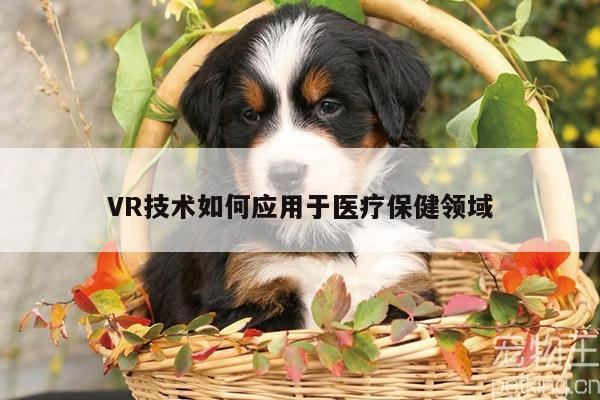 【jn体育】VR技术如何应用于医疗保健领域